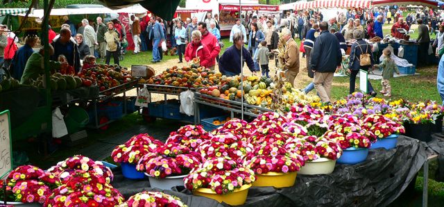 Bauernmarkt auf dem Hof Stegerhoff in Erle