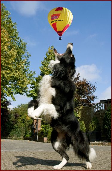 Fast hätte ich den Ballon geschnappt
