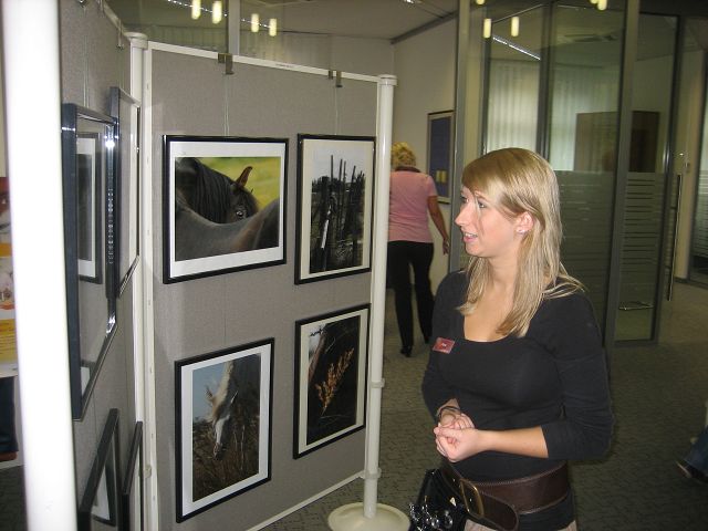 Fotoausstellung in der Volksbank Erle -grandiose Pferdeaufnahmen