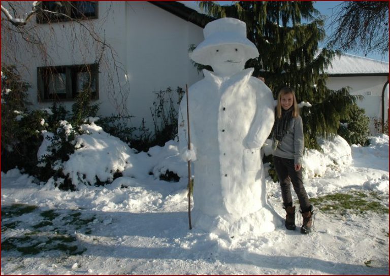 Mein Freund der Schneemann