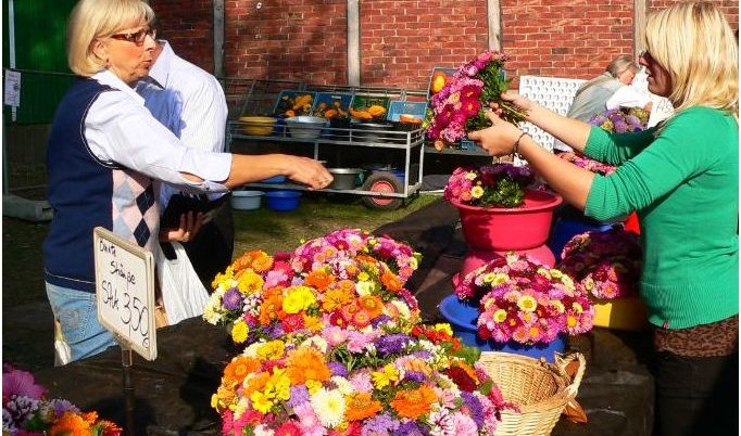 Bauernmarkt in Erle-herbstliches Erlebnis im Münsterland