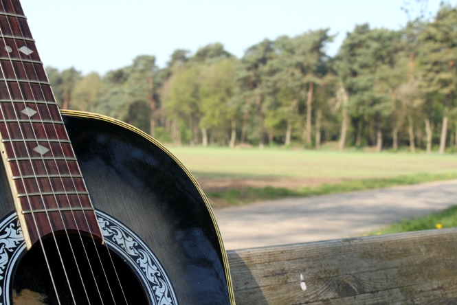 MusikerInnen gesucht