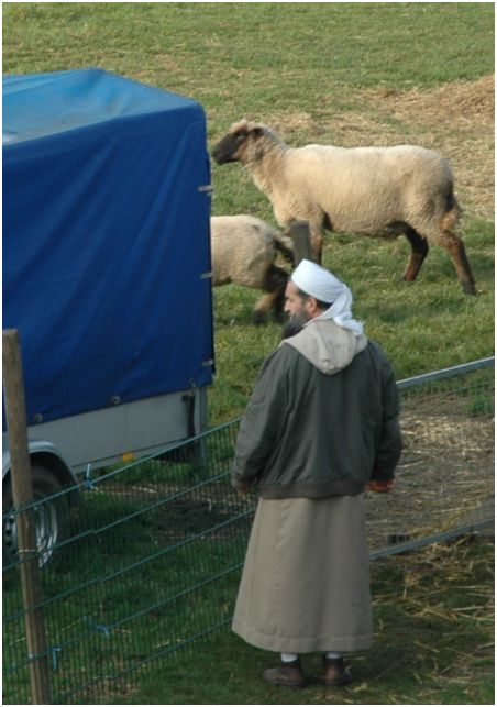 Getäuscht und die Arglosigkeit schamlos ausgenutzt – Türken schächten in Erle