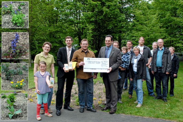 Bunte Blütenvielfalt für Wildbienen und andere Insekten am Besucherzentrum in Raesfeld