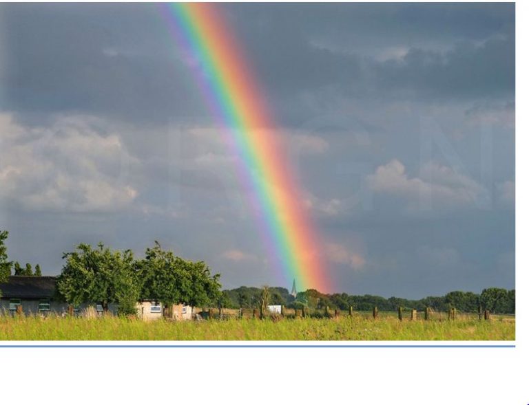 Regenbogen über Erle