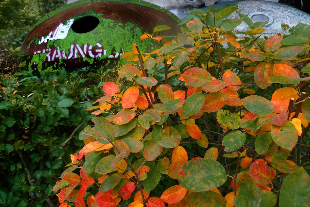 Wohin mit Laubabfällen?
