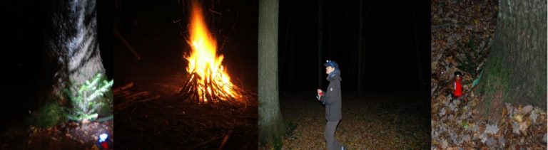 „Forest-Night und Candle-Light“  -Nachtwanderung und 3-Gang-Menü-
