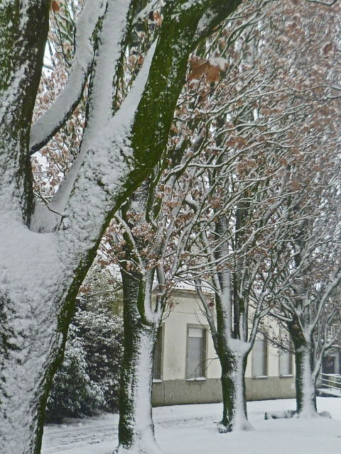 Hurra – der erste Schnee