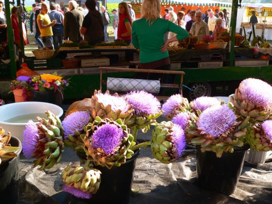 Alle Jahre wieder-Bauernmarkt in Erle bei Stegerhoff im M&uuml;nsterland&nbsp;&nbsp;