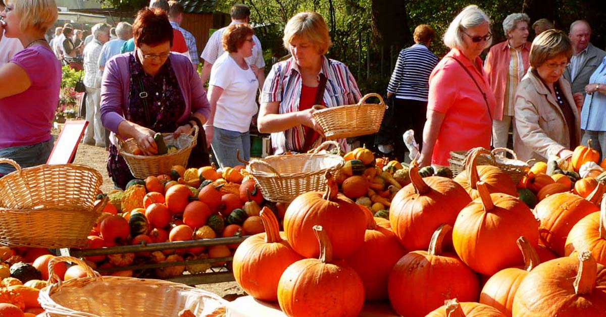 Ausflug-Tipp am Wochenende-Bauernmarkt Stegerhoff in Erle