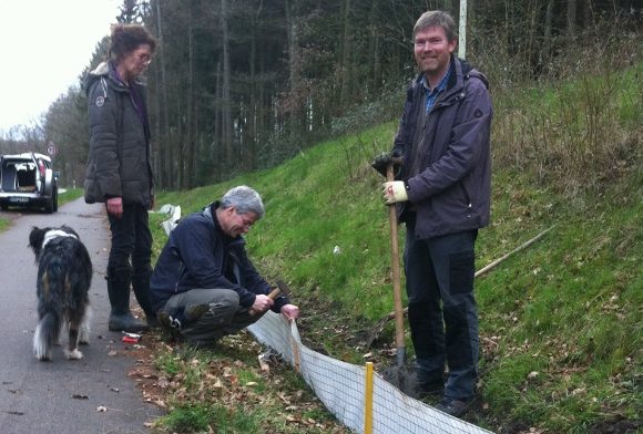 Straßenzaun – Schutz für Erdkröten in Erle