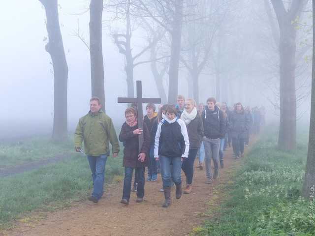15. Bild DSCF8111