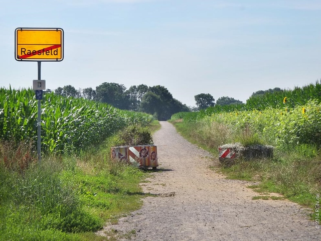 Blumen an Feldrainen und Strassen (6) (640x480)