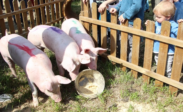 Bauernmarkt Raesfeld 2015 (27) (640x393)