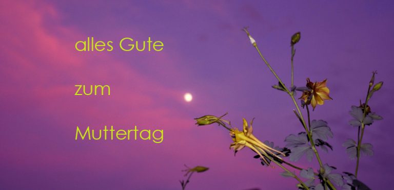 …einen schönen Muttertag