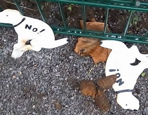 Hundekot auf Gehwege in Raesfeld und Erle