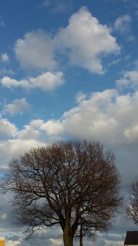 Osterhimmel über Raesfeld Erle (2)