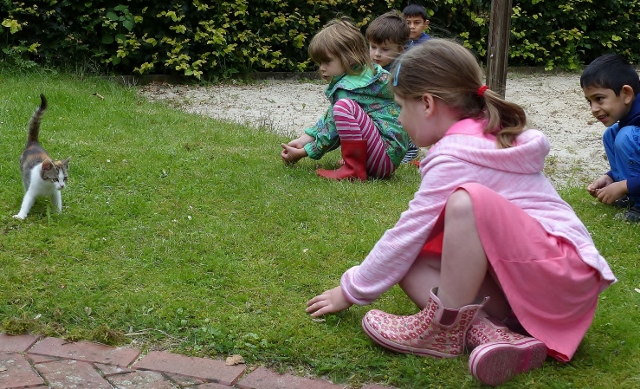 Die Kinder der Kita St. Nikolaus haben Zuwachs bekommen und freuten sich über den Besuch von dem Katzenbaby.