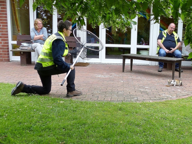 Mitarbeiter des Tierheims Bocholt lockten Ida mit Leckerchen.