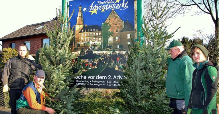 Wir in Erle-Weihnachtsbaumaufstellen