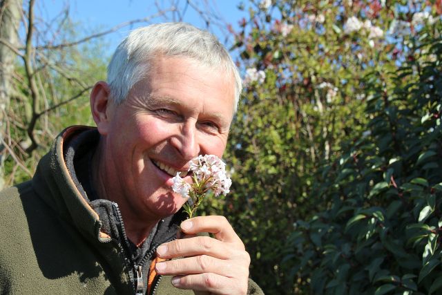 Pflanzzeit ist Gartenzeit – PR-Artikel