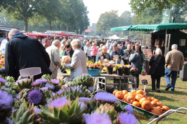 Bauernmarkt auf dem Hof Stegerhoff in Erle 2017