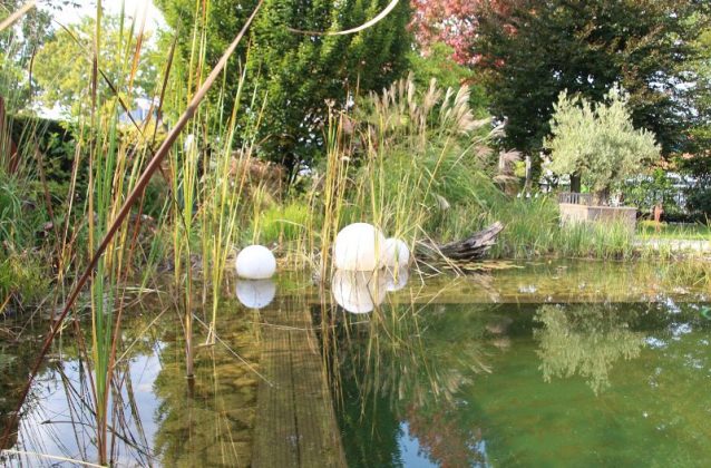 Stauden und Teichg&auml;rten im Herbst von Firma Baumeister aus Raesfeld