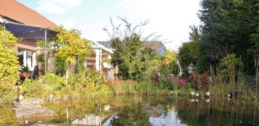 Stauden und Teichgärten im Herbst von Firma Baumeister aus Raesfeld
