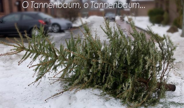 Weihnachtsbäume werden abgeholt