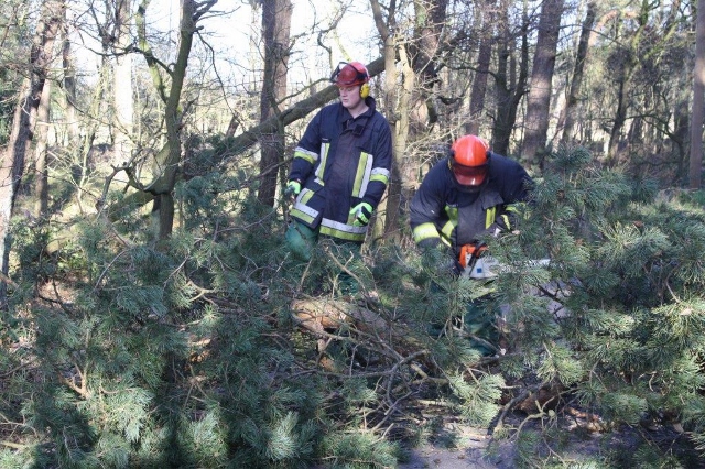 Ohne Strom – Feuerwehr beseitigte Baum