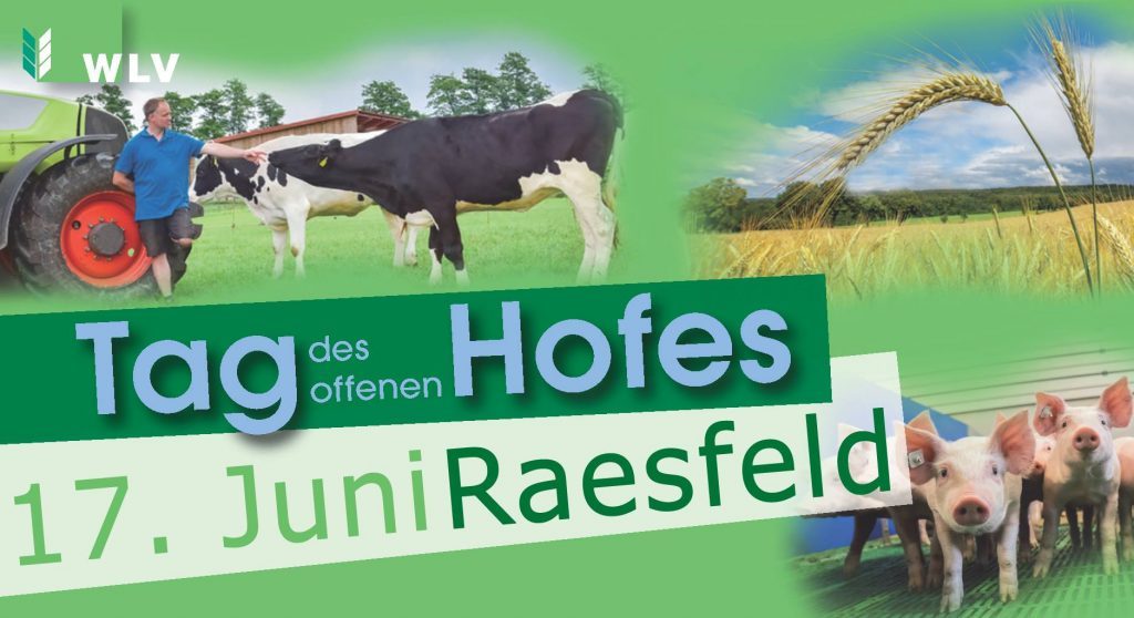 Tag des Hofes