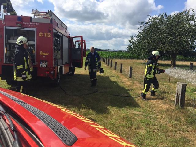 Feuer auf einer Wiese in Erle