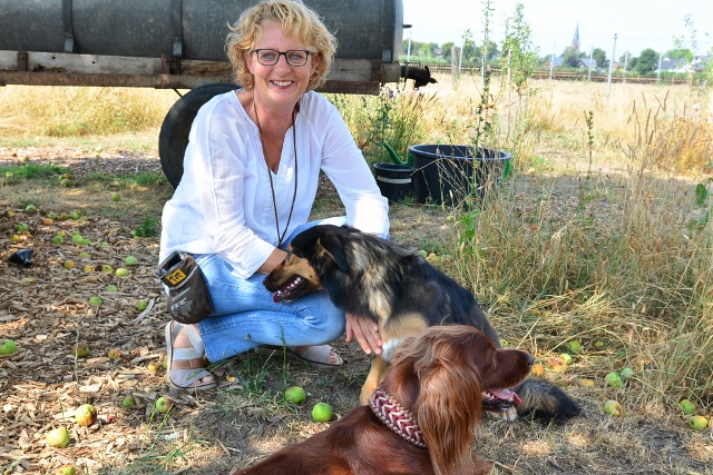 Anja Lammersmann Hundetrainern