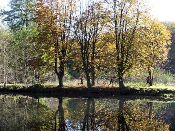 Naturpark Raesfeld im Herbst