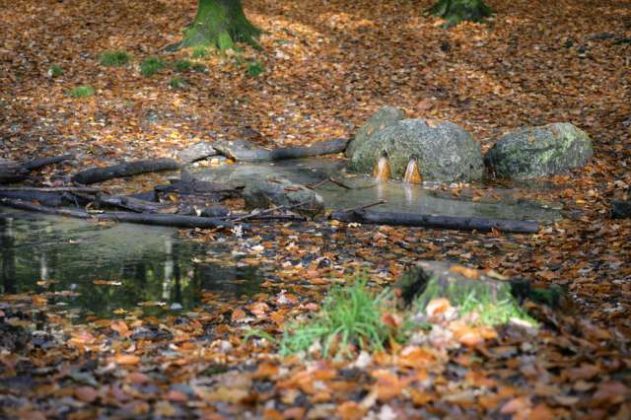 Naturpark Raesfeld im Herbst