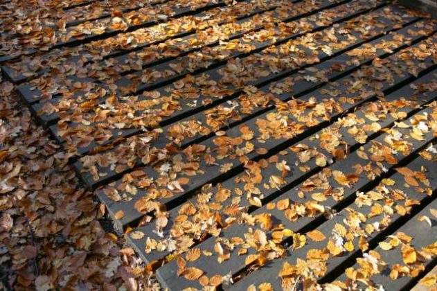 Raesfeld im goldenen Oktober