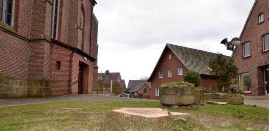 Bäume an der Kirche in Erle gefällt