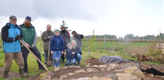 Heimatverein legt Kräuterbeet und Feuchtbiotop an