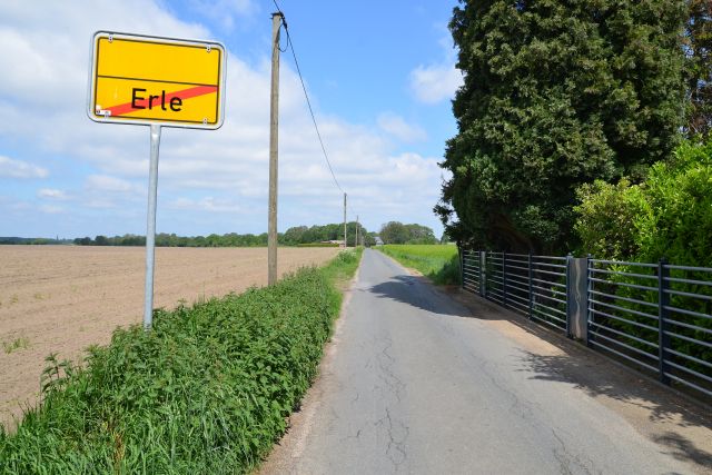 Schäpersweg Erle Foto Petra Bosse