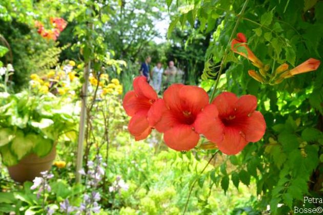 Garten Baumeister Raesfeld