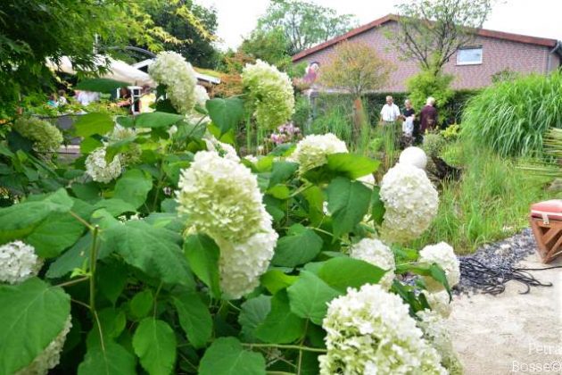Garten Baumeister Raesfeld
