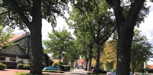 Silvesterstraße Erle