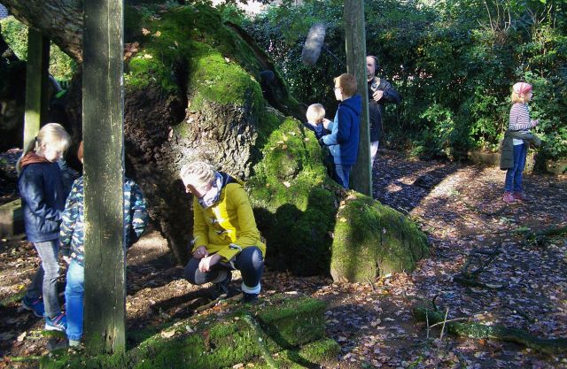 WDR an der Femeiche in Erle