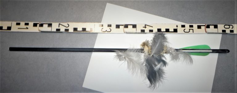 Fischreiher mit Pfeil durchbohrt