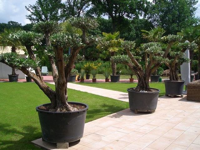 Palmengarten Herden Schermbeck