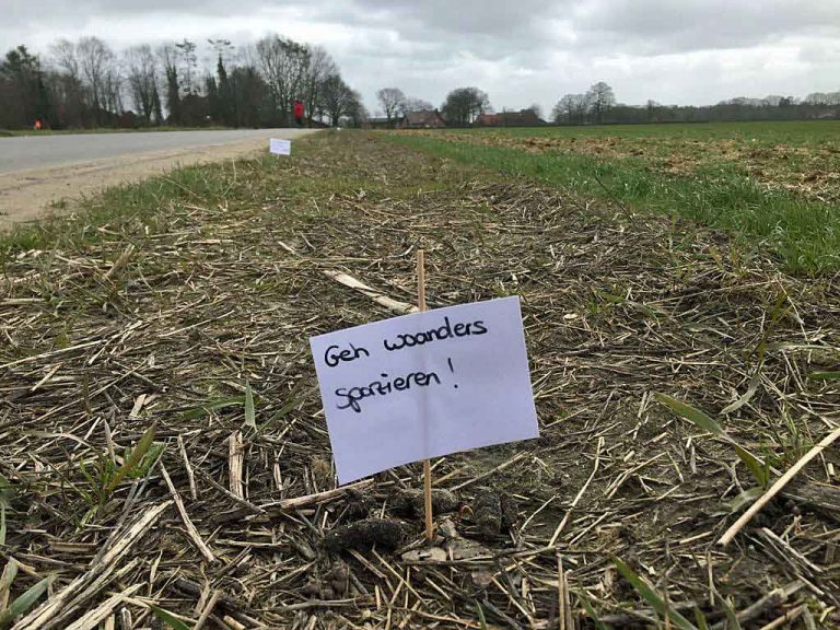 Hundekot-am-Wirtschaftsweg-in-Raesfeld