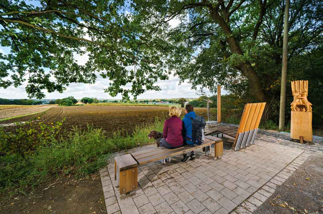 Wandertipp-ostertage-Waldpromenade_Wiciok