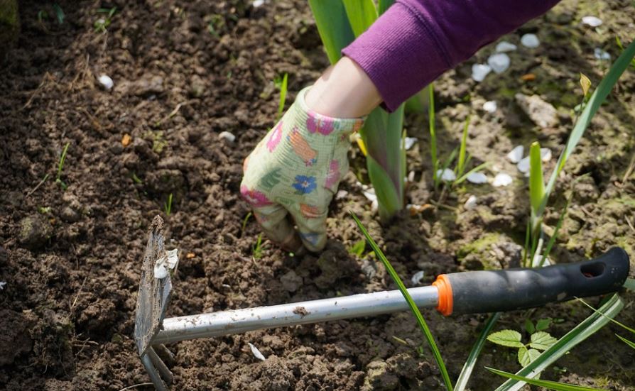 Unkraut zupfen im April