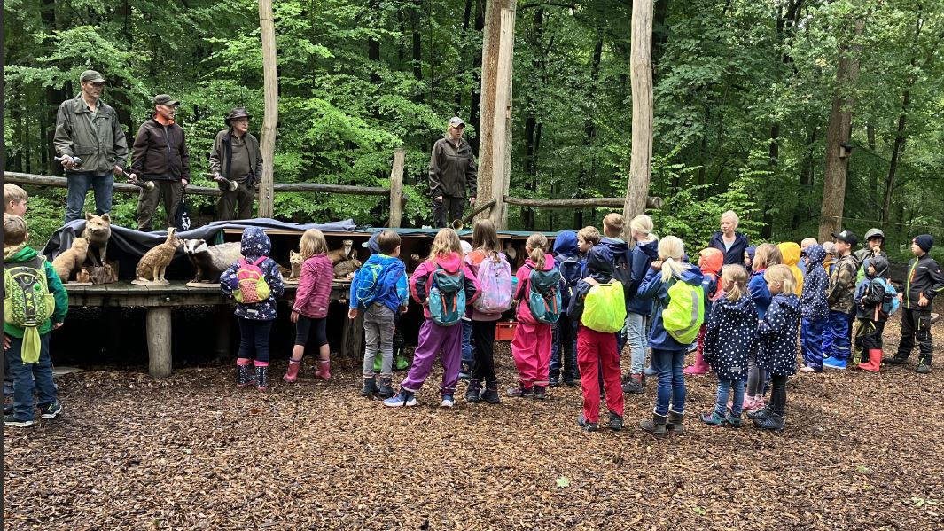 Die Waldolympiade des Hegering Raesfeld lockte 44 Kinder