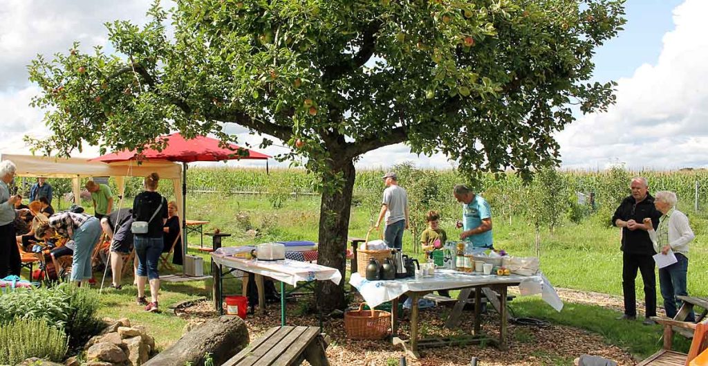 Spieltag-Heimatverein-Erle-auf-der-Babywiese